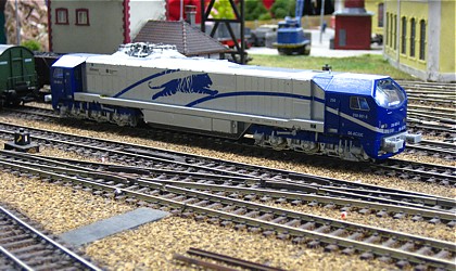 Blue Tiger