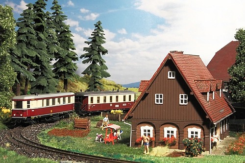 Der VT 137 322 im Umgebindeland