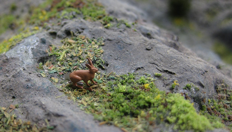 Wald in dem auch ein Hase lebt Wald in dem auch ein Hase lebt