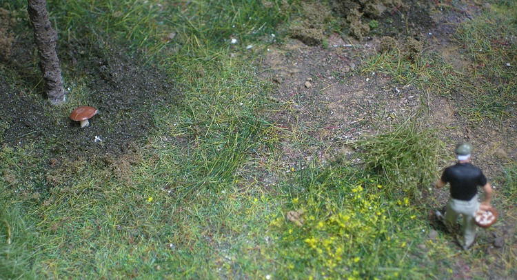 Pilzsammler im Wald Pilzsammler im Wald
