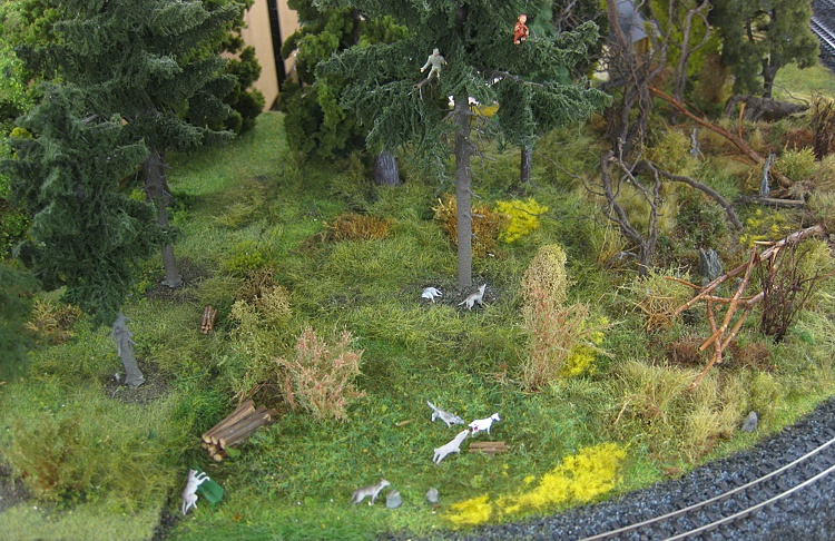 Das Leben im Wald ist nicht einfacher geworden Das Leben im Wald ist nicht einfacher geworden